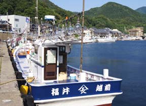 ����C�J�ނ�