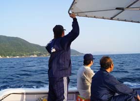 ����C�J�ނ�