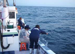 ����C�J�ނ�