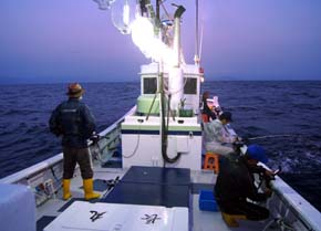 ����C�J�ނ�