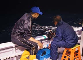 ����C�J�ނ�