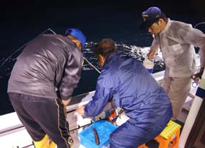 ����C�J�ނ�