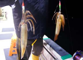 ����C�J�ނ�