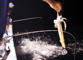 ����C�J�ނ�