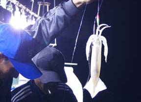 ����C�J�ނ�