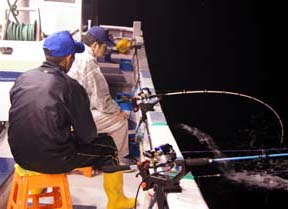 ����C�J�ނ�